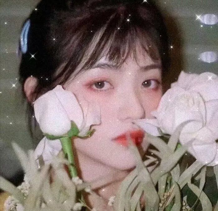 陀枪师姐